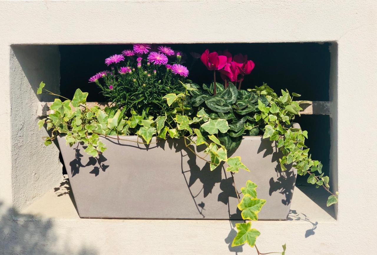 “Oltre Il Confine” Apartamento Belluno Exterior foto