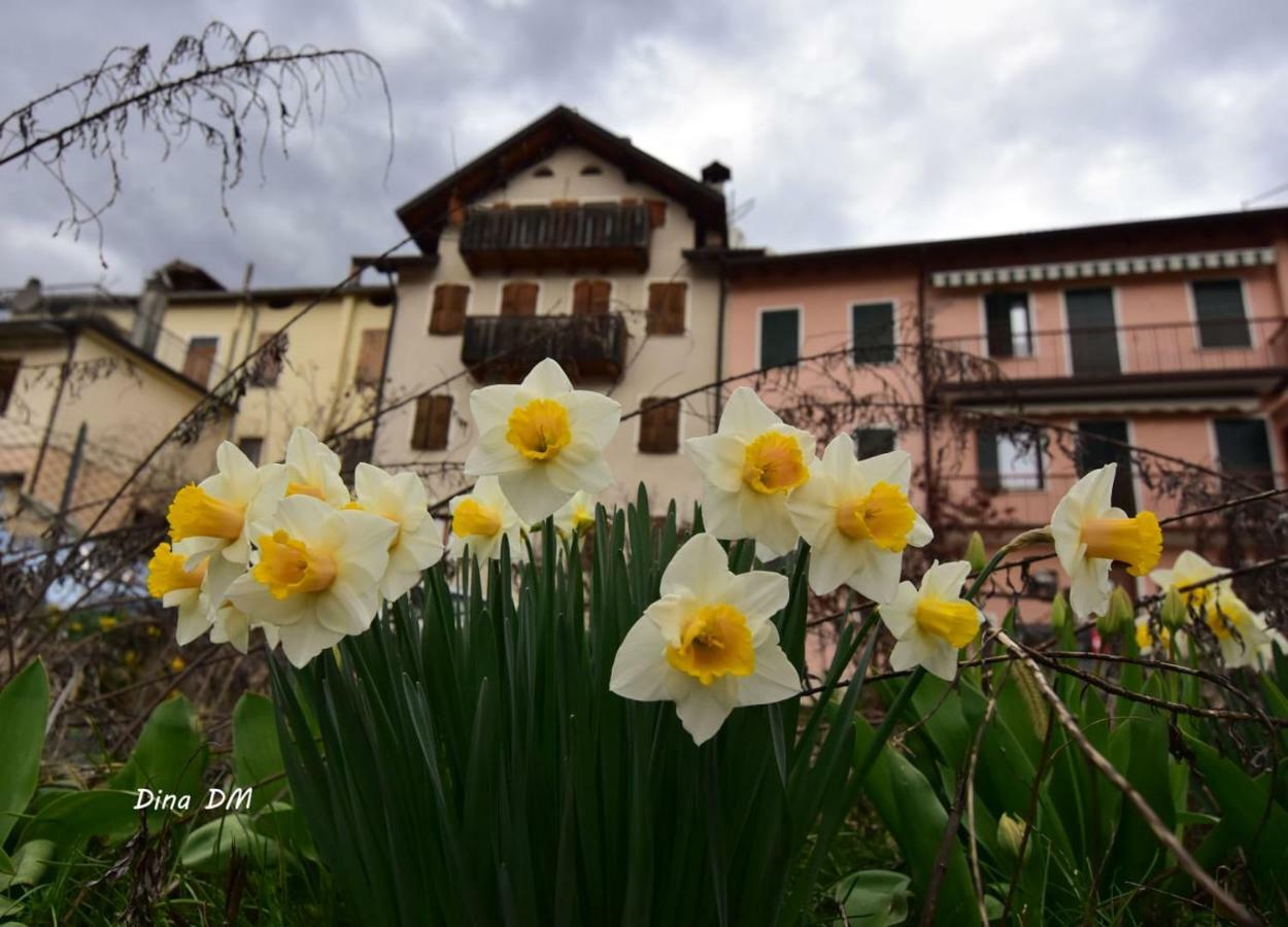 “Oltre Il Confine” Apartamento Belluno Exterior foto